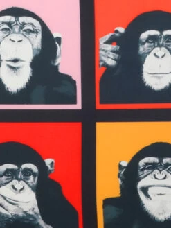 Housse De Valise Periea Monkey XL 25 Housse De Valise Periea Monkey XL -Bags Soldes housse valise periea 876135z