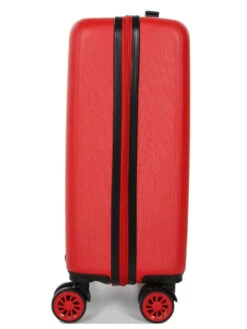 Valise Aérial Animals Yorkshire 55 Cm -Bags Soldes valise aerial 773547z